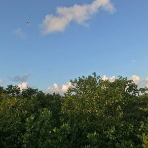 Meet your Posher, Sofia